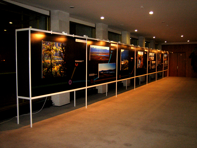 Эксклюзивный стенд